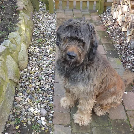 Gaestehaus Zum Klabautermann *